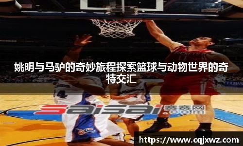 乐竞体育官方网站